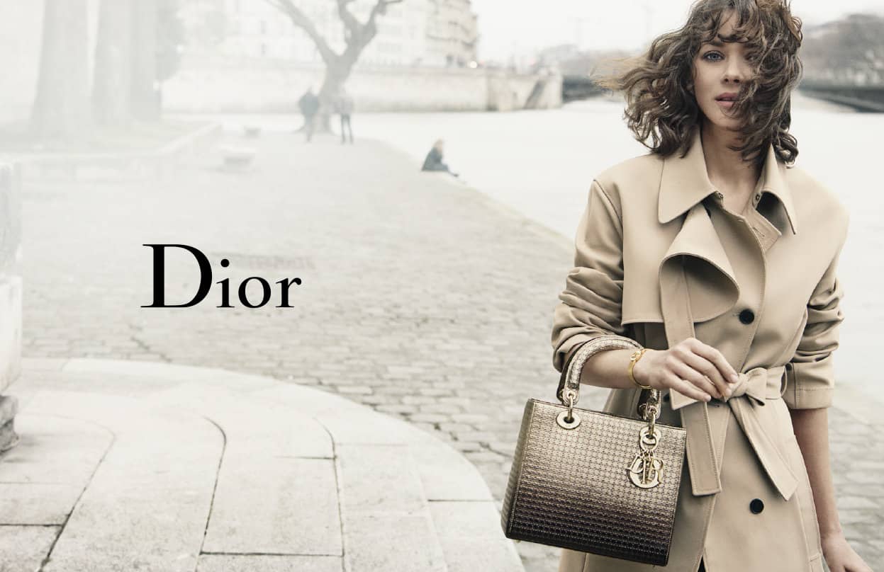 Sacs à main Christian Dior